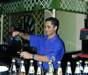 anklicken zum Vergr��ern - click to enlarge